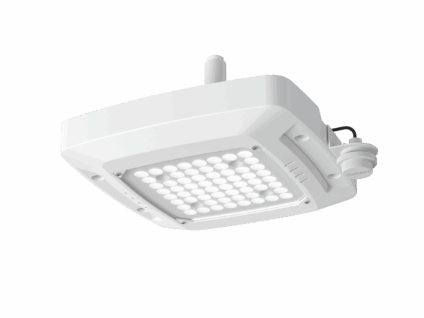 Versa - Image 3
